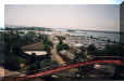 The View