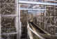Return to Station