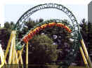 Cobra Roll