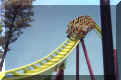 Prepare for Cobra